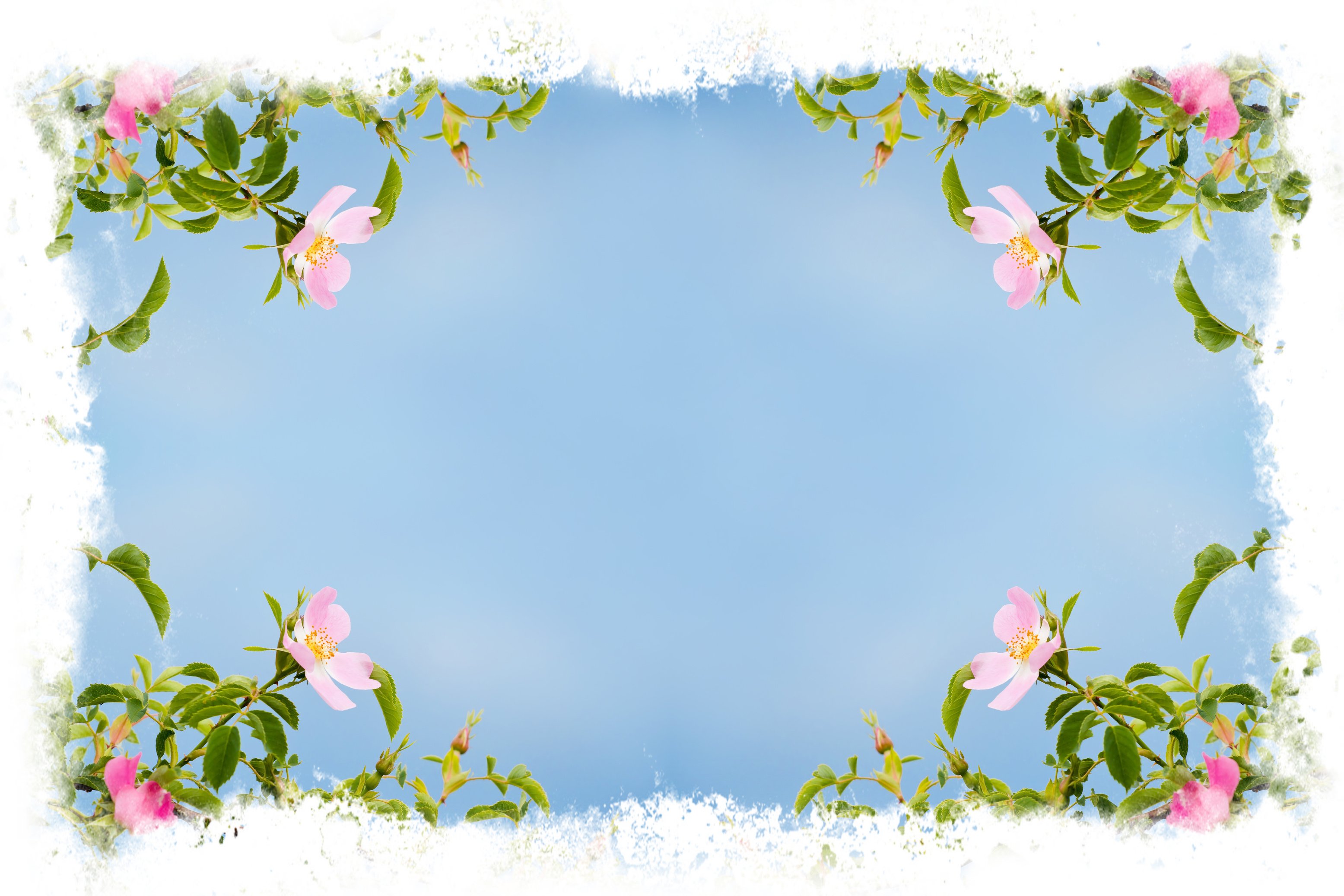 Beautiful Flower Frame Design