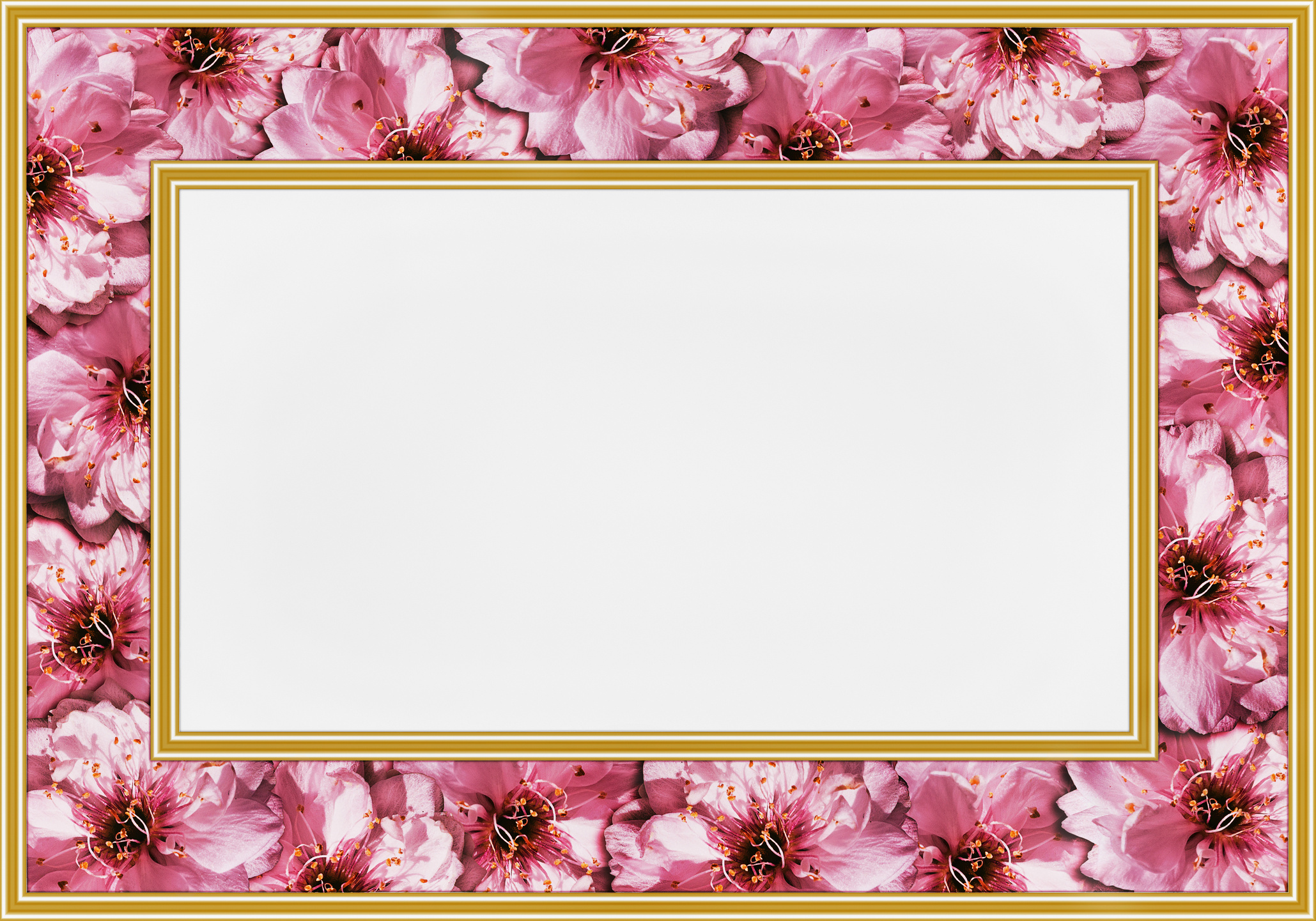 pink flower frame