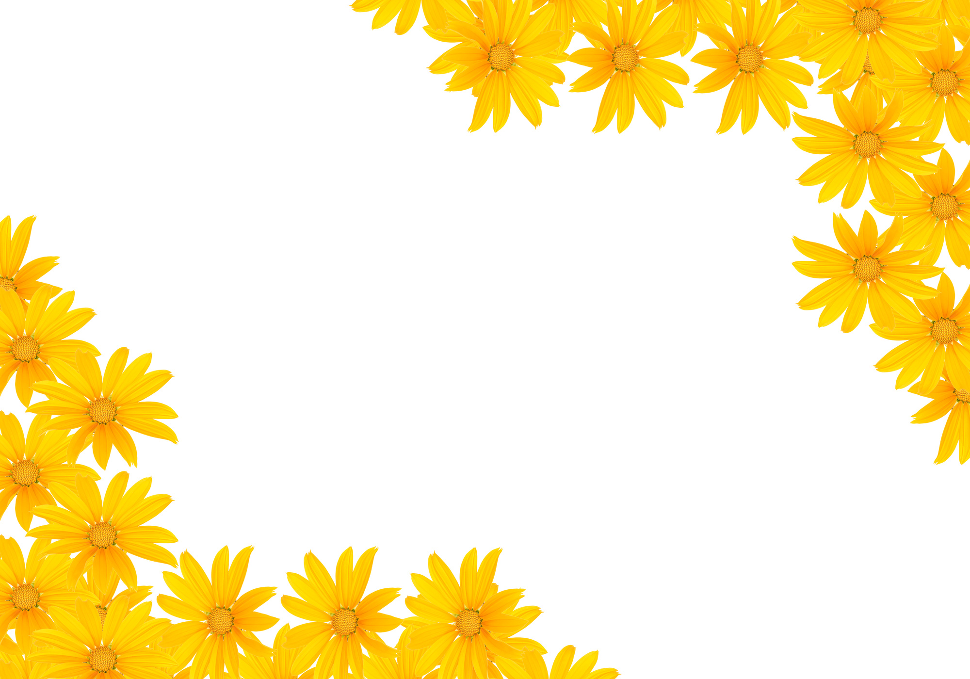 flower background